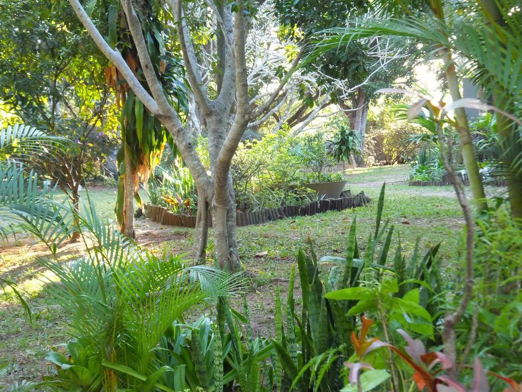 St Lucia Kingfisher Lodge Ngoại thất bức ảnh